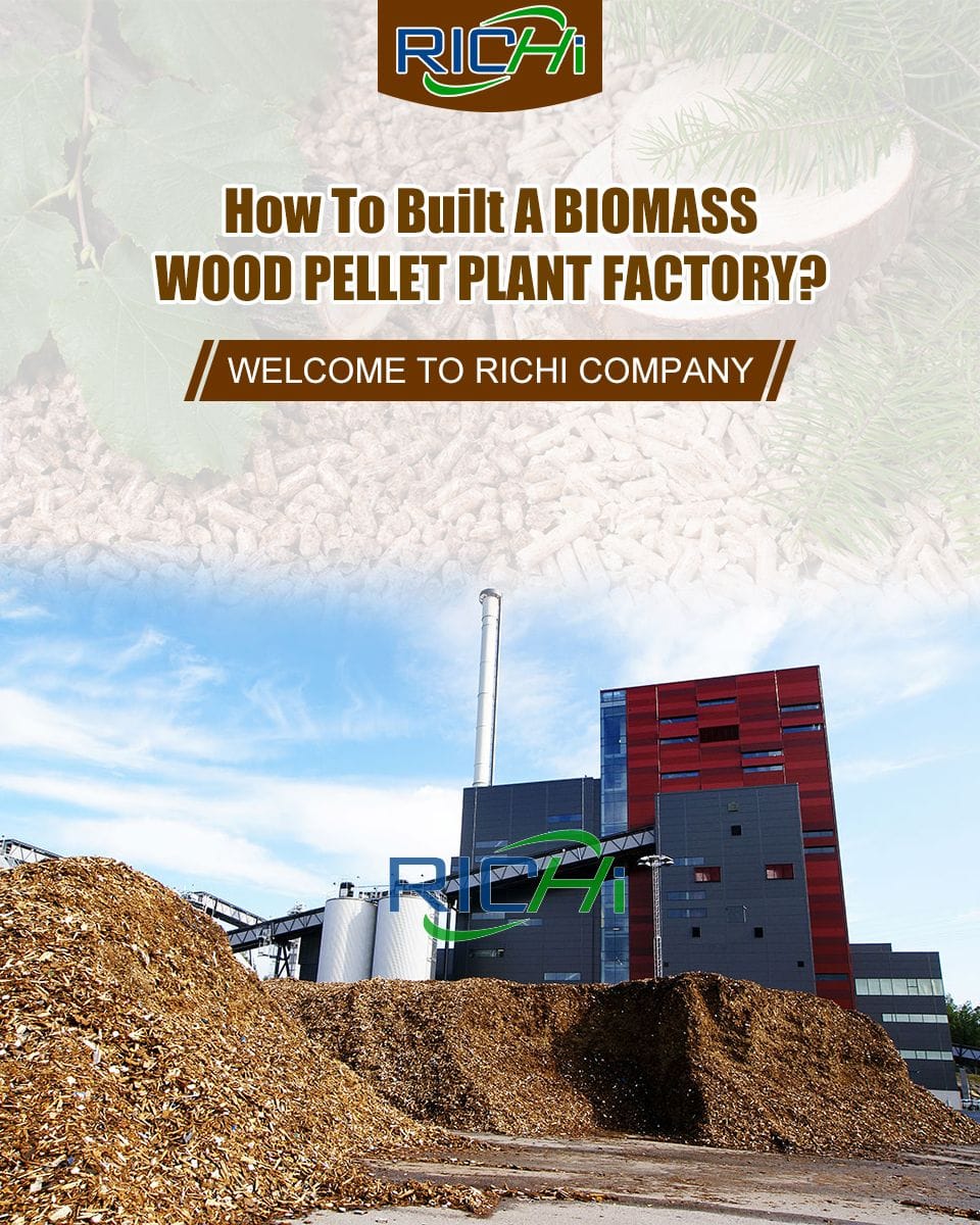 biomass pellet project cost