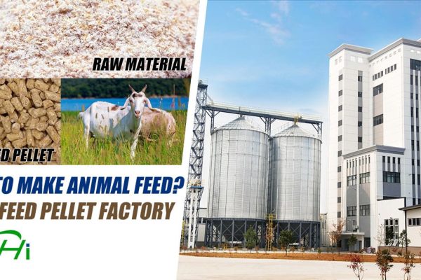 Animal Feed Mill Plant