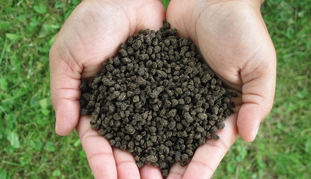 organic fertilizer